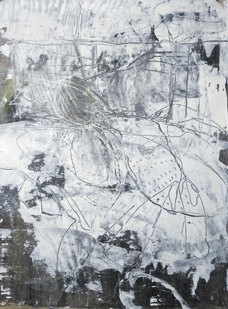 Elegy for Lost Trees
